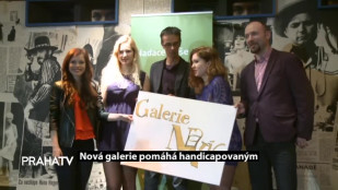 Nová galerie pomáhá handicapovaným