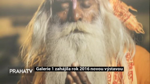 Galerie 1 zahájila rok 2016 novou výstavou