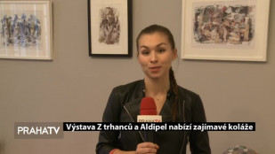Výstava Z trhanců a Aldipel nabízí zajímavé koláže