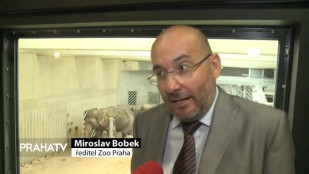 V pražské Zoo křtili slůně