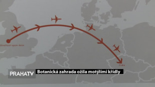 Botanická zahrada ožila motýlími křídly
