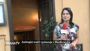 Začínající malíř Mladějovský vystavuje v Mezibranské