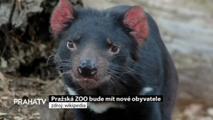 Pražská ZOO bude mít nové obyvatele