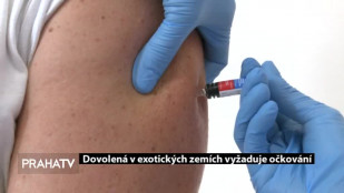 Dovolená v exotických zemích vyžaduje očkování