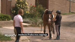 Jezdectví Praha moc nepřeje