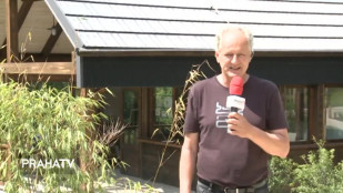 V pražské zoo si můžete vyrobit ojedinělý papír