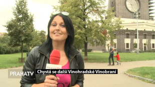 Chystá se další Vinohradské Vinobraní