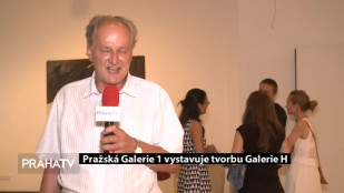 Pražská Galerie 1 vystavuje tvorbu Galerie H