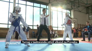 Turnaj v taekwondu oživil víkend na Proseku