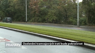 Ozelenění tramvajových tratí bude pokračovat