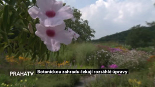 Botanickou zahradu čekají rozsáhlé úpravy 