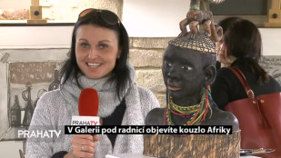 V galerii pod radnicí objevíte kouzlo Afriky