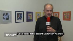Onkologičtí dětští pacienti vystavují v Anenské