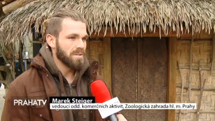 Pražská zoo zve na noční prohlídky