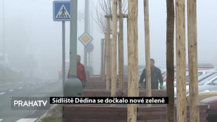 Sídliště Dědina se dočkalo nové zeleně