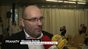 Rekapitulace letošního roku v pražské zoo 