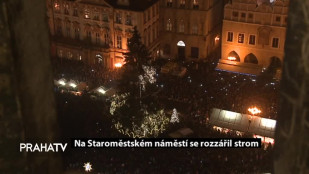 Na Staroměstském náměstí se rozzářil strom