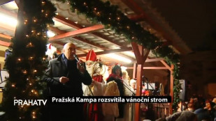 Pražská Kampa rozstvítila vánoční strom