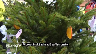 V Loretánské zahradě září stromky