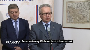 Senát má nový Klub nezávislých senátorů