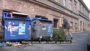 Vánoční strom najde využití i po svátcích