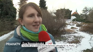 Botanická zahrada má své kouzlo i v zimě