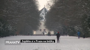 Zajděte si v Praze na běžky