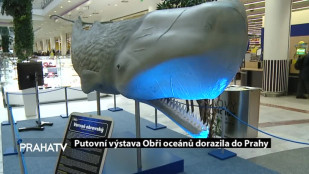 Putovní výstava Obři oceánů dorazila do Prahy