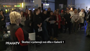 Školáci vystavují svá díla v Galerii 1
