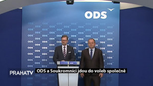 ODS a Soukromníci jdou do voleb společně