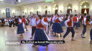 Na Žofíně se konal Moravský ples