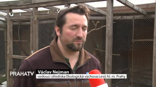 Lidé se liší v názorech na čtyřnohé sousedy