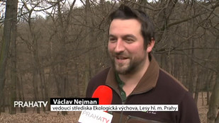 Pacienti v Krči mají neobvyklou zábavu
