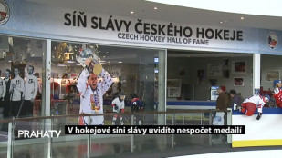 V hokejové síni slávy uvidíte nespočet medailí