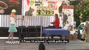 V Praze 10 se konal 2. ročník psího dne