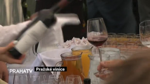 Pražské vinice