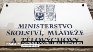 Hejtmani za ANO chtějí pomoci českému sportu