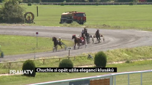 Chuchle si opět užila elegance klusáků