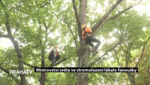 Mistrovství světa ve stromolezení lákalo fanoušky