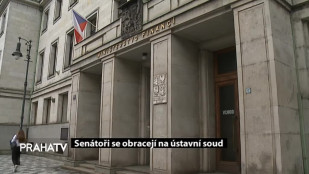 Senátoři se obracejí na ústavní soud