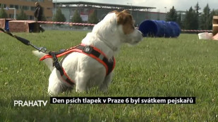 Den psích tlapek v Praze 6 byl svátkem pejskařů