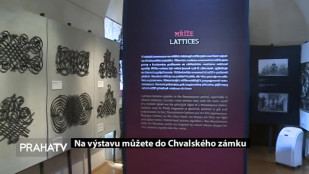 Na výstavu můžete do Ctěnického zámku