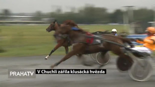 V Chuchli zářila klusácká hvězda