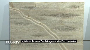 Výstava Jasana Zoubka je ve vile Portheimka