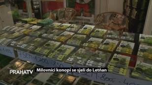 Milovníci bruslení jsou v Nymburce jako doma