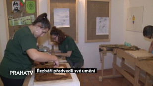 Řezbáři předvedli své umění