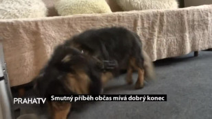Smutný příběh občas mívá dobrý konec