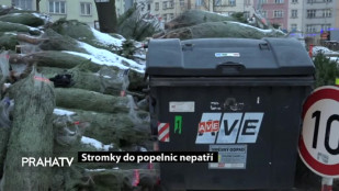 Stromky do popelnic nepatří