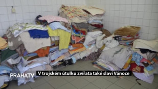 V Trojském útulku zvířat také slaví vánoce