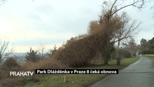 Park Dlážděnka v Praze 8 čeká obnova